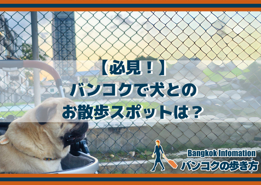 【必見！】バンコクで犬とのお散歩スポットは？