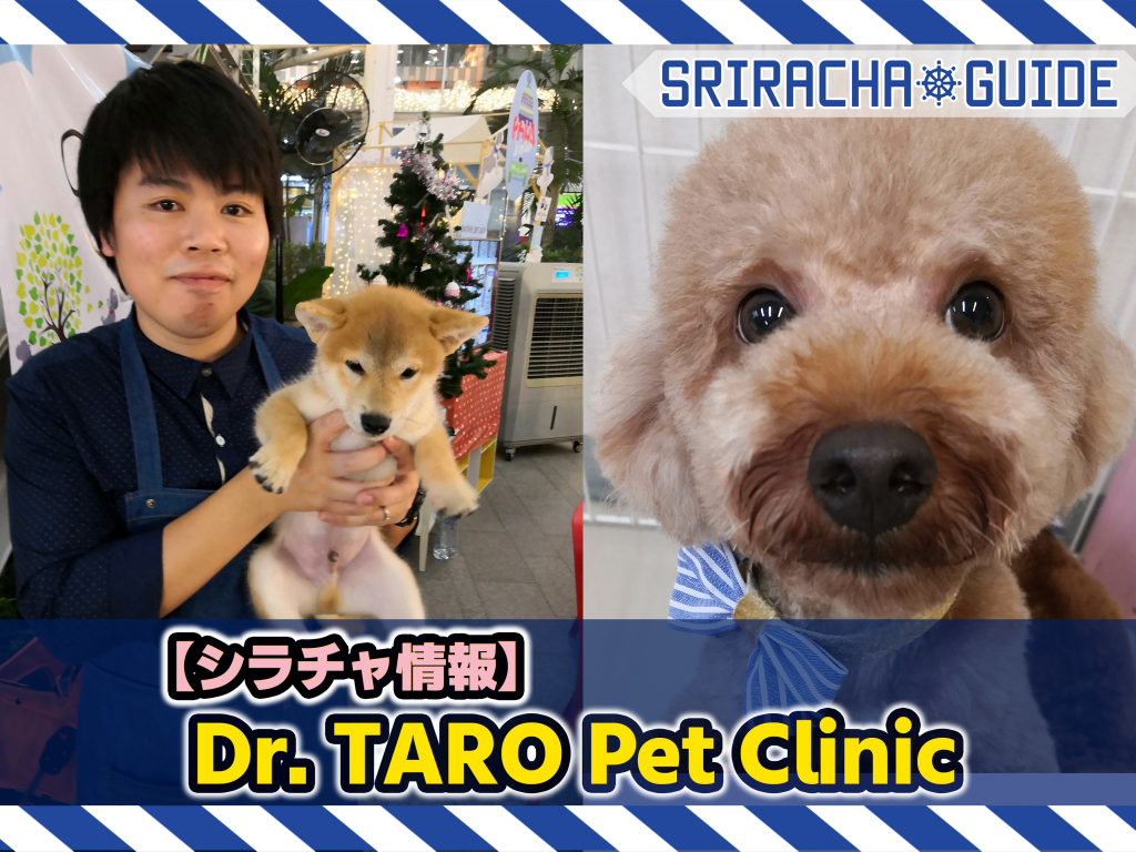 【シラチャ情報】「Dr. Taro Pet Clinic」をご紹介！