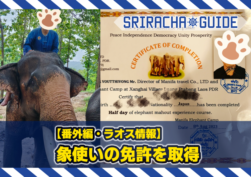 【ラオス】象使いの免許を取得