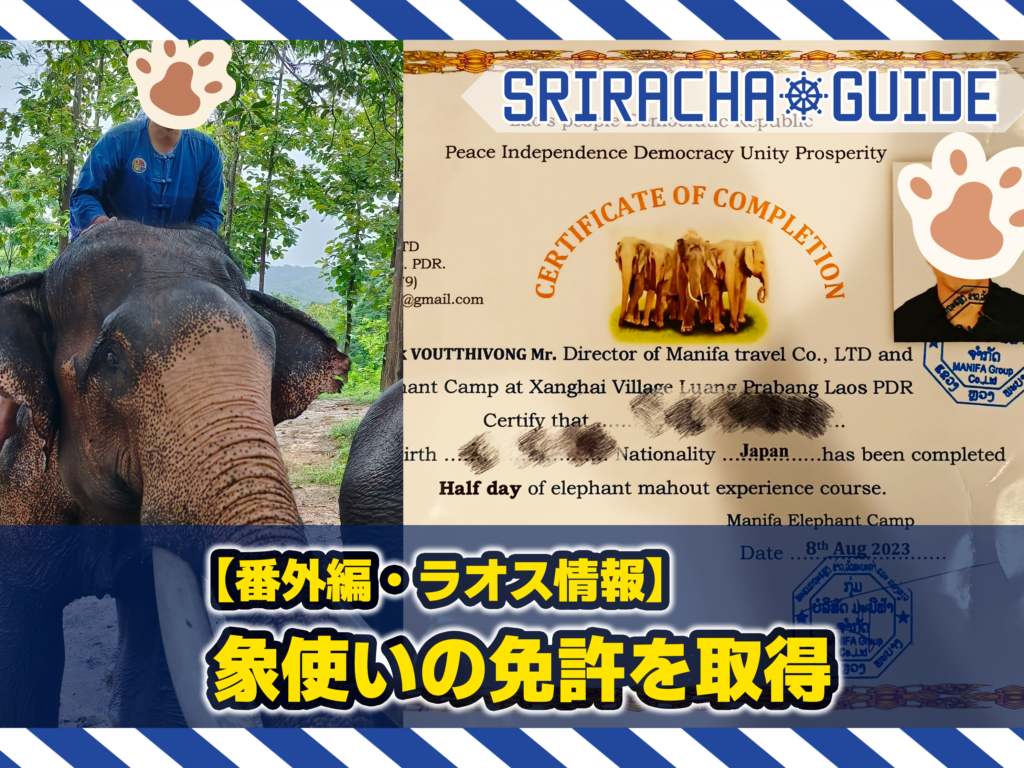 【ラオス】象使いの免許を取得