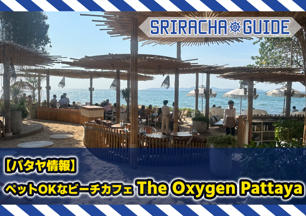 【パタヤ情報】ペットフレンドリーのビーチ沿いカフェThe Oxygen Pattaya