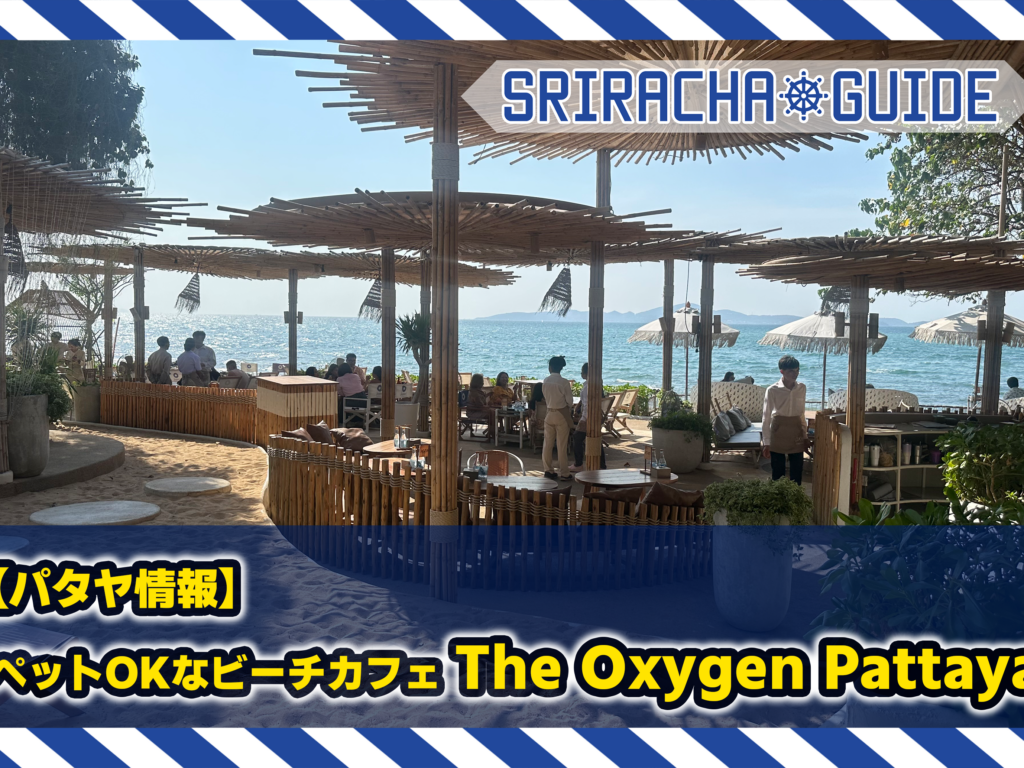 【パタヤ情報】ペットフレンドリーのビーチ沿いカフェThe Oxygen Pattaya