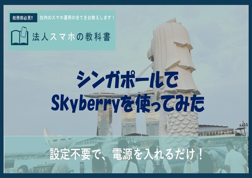 ポケットWiFi「Skyberry」をシンガポールで使ってみた！深夜のチャンギ国際空港レポートも！