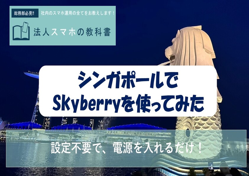 ポケットWiFi「Skyberry」をシンガポールで使ってみた！深夜のチャンギ国際空港レポートも！