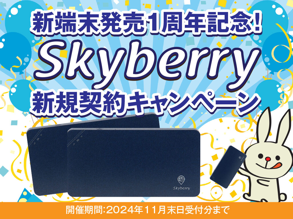 どこでも快適！海外でも国内でも使える最強モバイルWiFi『Skyberry』とは？