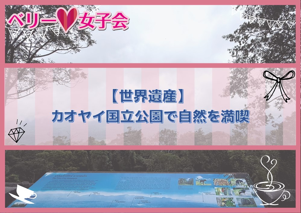 【世界遺産】カオヤイ国立公園で自然を満喫