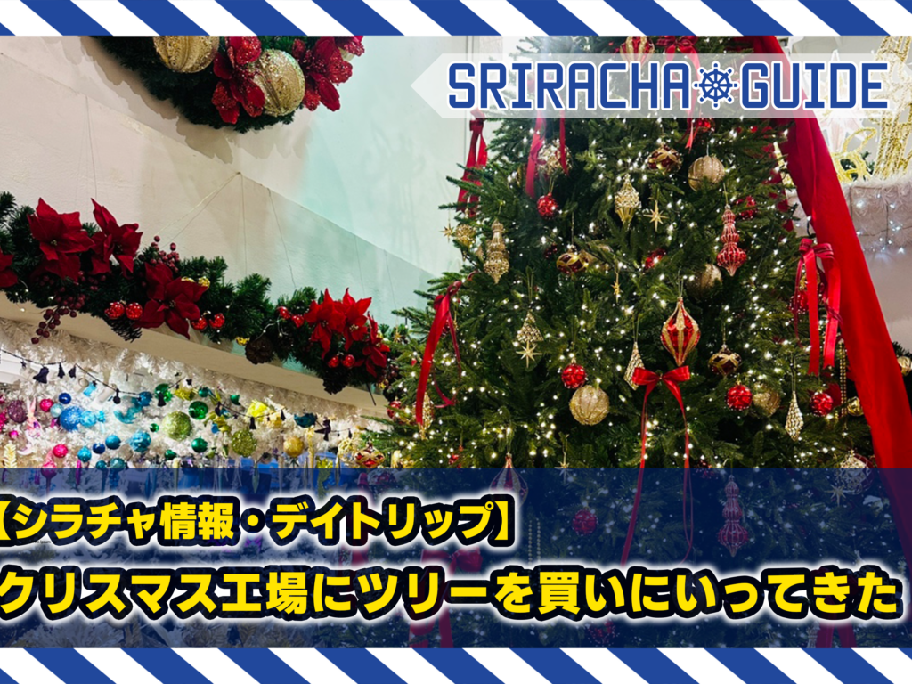 【シラチャ情報・日帰り】クリスマス工場にツリーを買いにいってきた